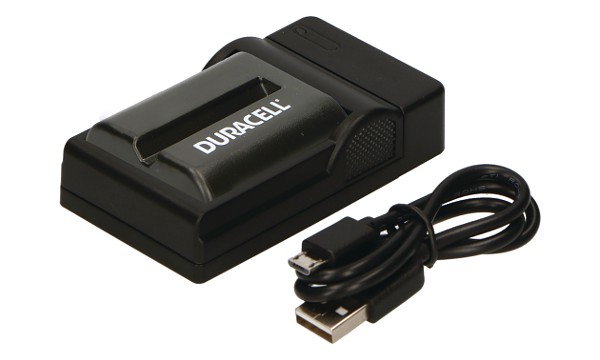 GV-D1000 (Video Walkman) Ladegerät