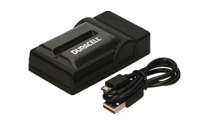 GV-D1000 (Video Walkman) Ladegerät
